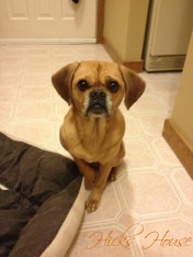 This little booger...