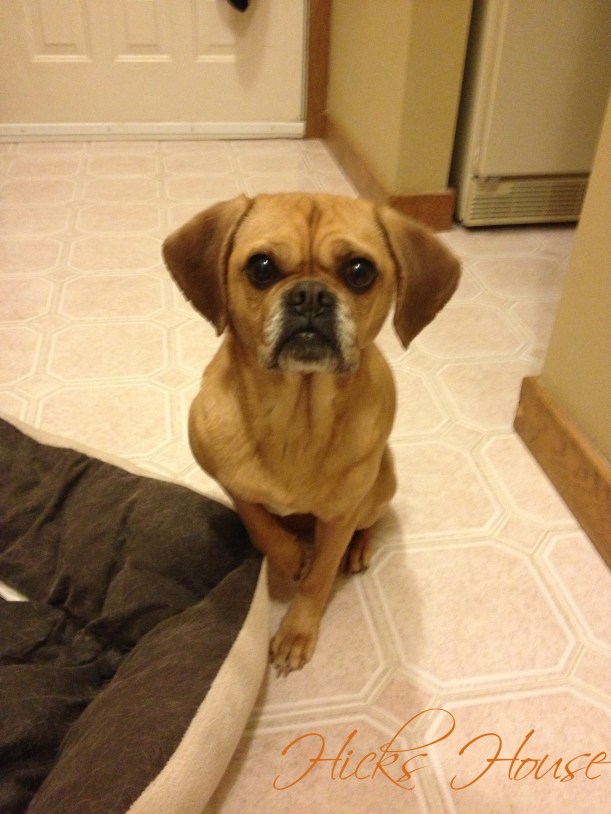 This little booger...