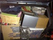 Looking in from the trunk