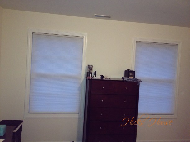 WE HAVE BLINDS!!!!