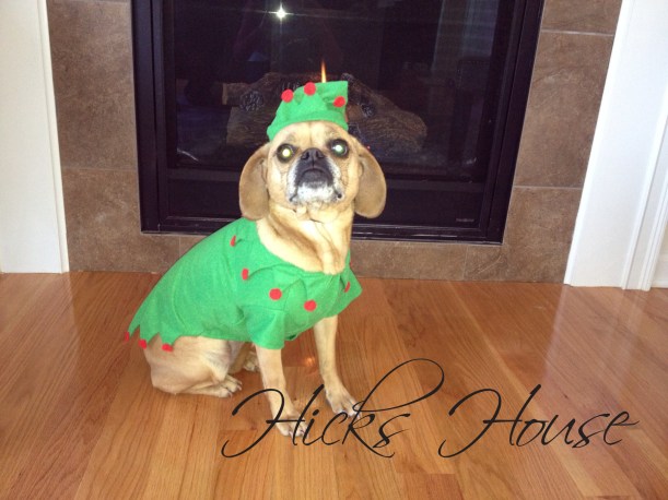 Here's your Christmas Card