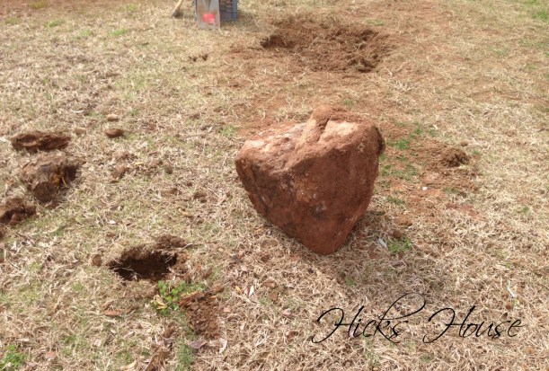 Hicks House | Rock Removal