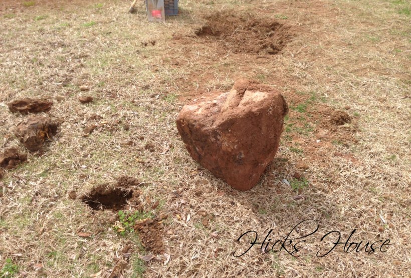 Hicks House | Rock Removal