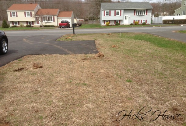 Hicks House | Rock Removal