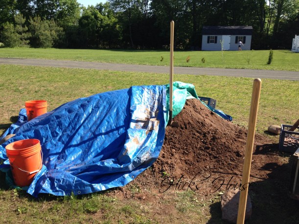 Lawn War | Hicks House