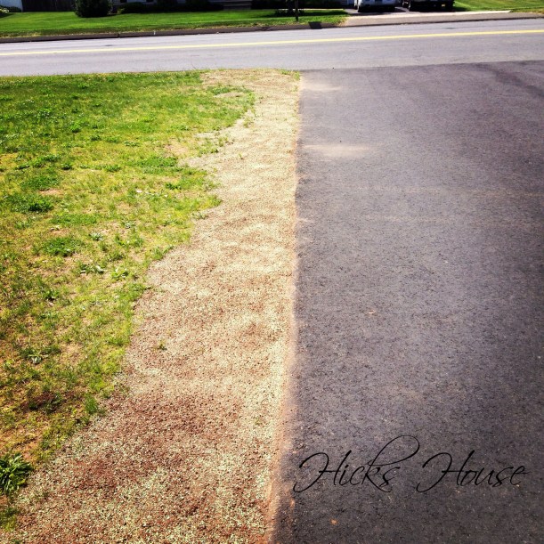 Lawn Wars | Hicks House