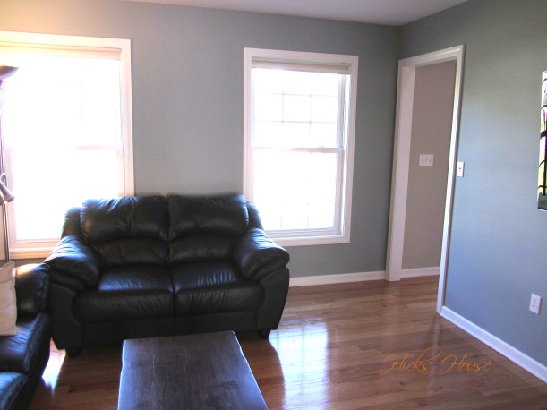 Silver Mink You Minx | Hicks House