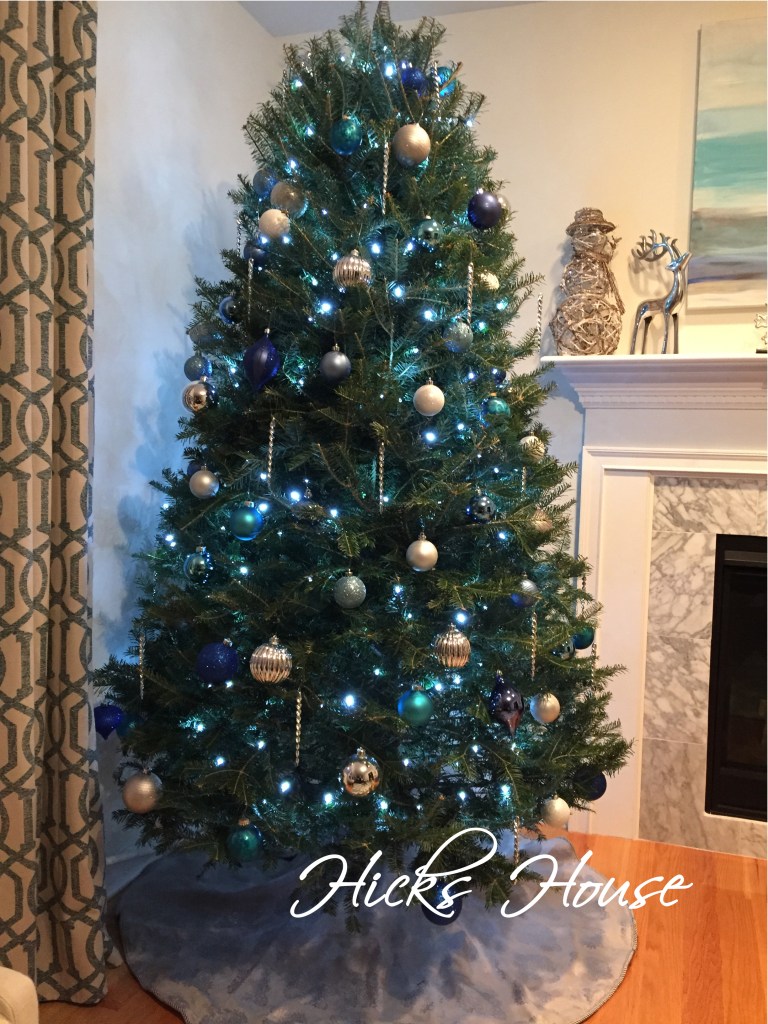 Hicks House | Christmas 2014